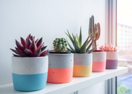 concrete pots-smartpot.ir